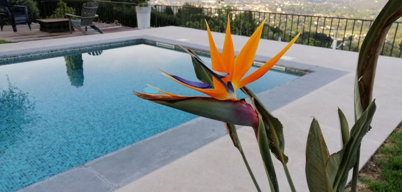 Les Lodges De L'Oliveraie De Virevent Γκρας Εξωτερικό φωτογραφία